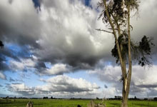 亚星：布克31分太阳克爵士回第一 开拓者擒狼止3连败.