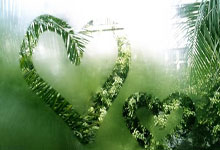 亚星：[NBA]詹眉连线上演 詹姆斯半场助浓眉暴扣.